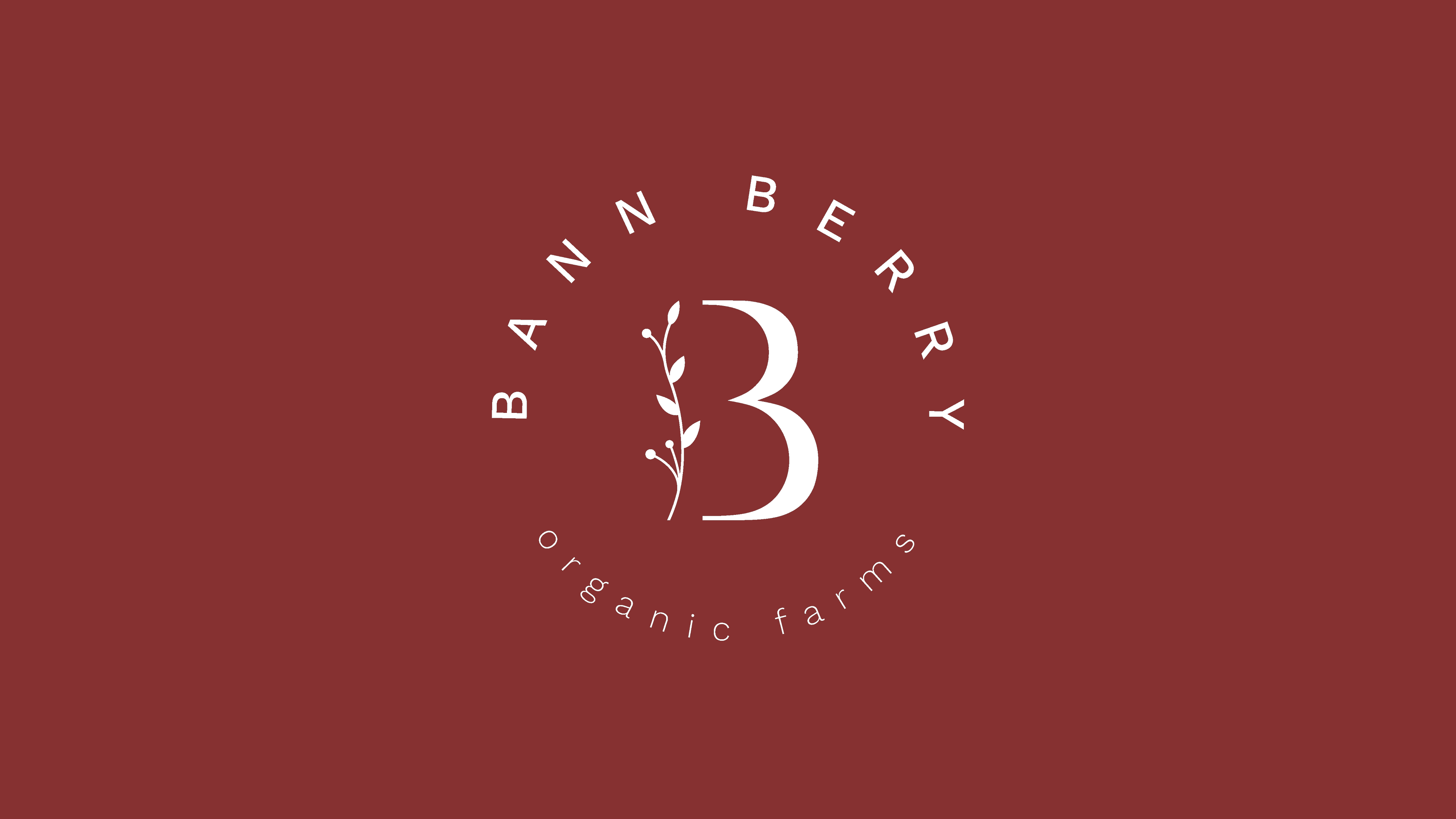 Bann Berry organic farms logo: white seal with serif B, botanical line art, and arched Bann Berry / organic farms text on a deep maroon field.